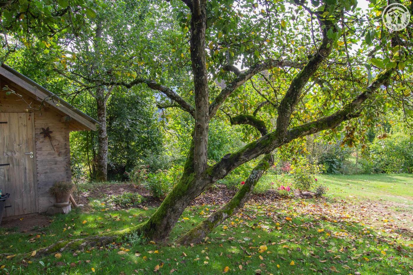 Les Perrelles Bed and Breakfast Bellecombe-en-Beauges Eksteriør billede